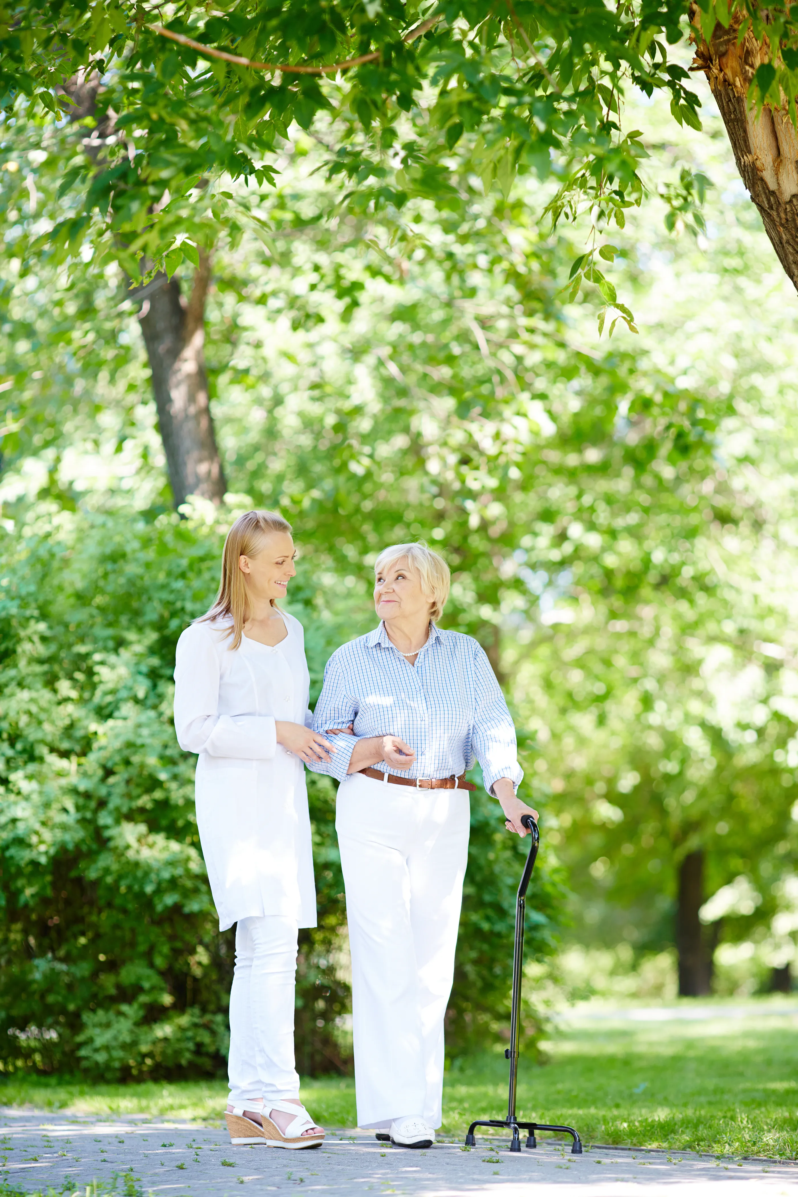 Companionship and support while walking outdoors in the community